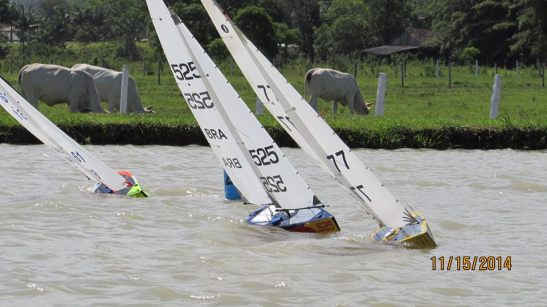 2014 XX brasleiro ULY_5