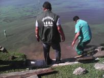 avrcp_ reforma escada_2