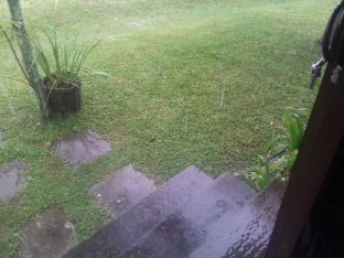 9_bras_rg65_Floripa_2016_0026