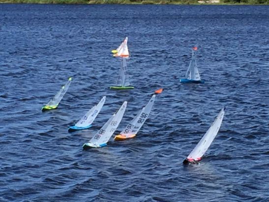 9_bras_rg65_Floripa_2016_0176